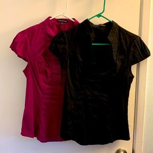 EUC TWO Gorgeous shirts from Express.  Like new condition!